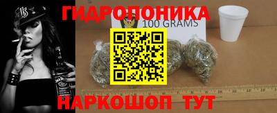 jwh Гатчина