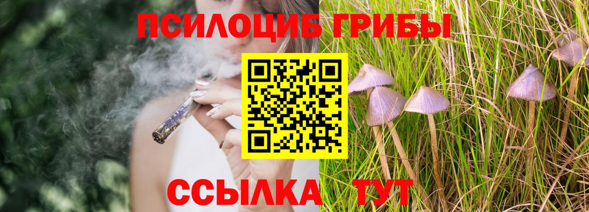 Галлюциногенные грибы Cubensis Муравленко