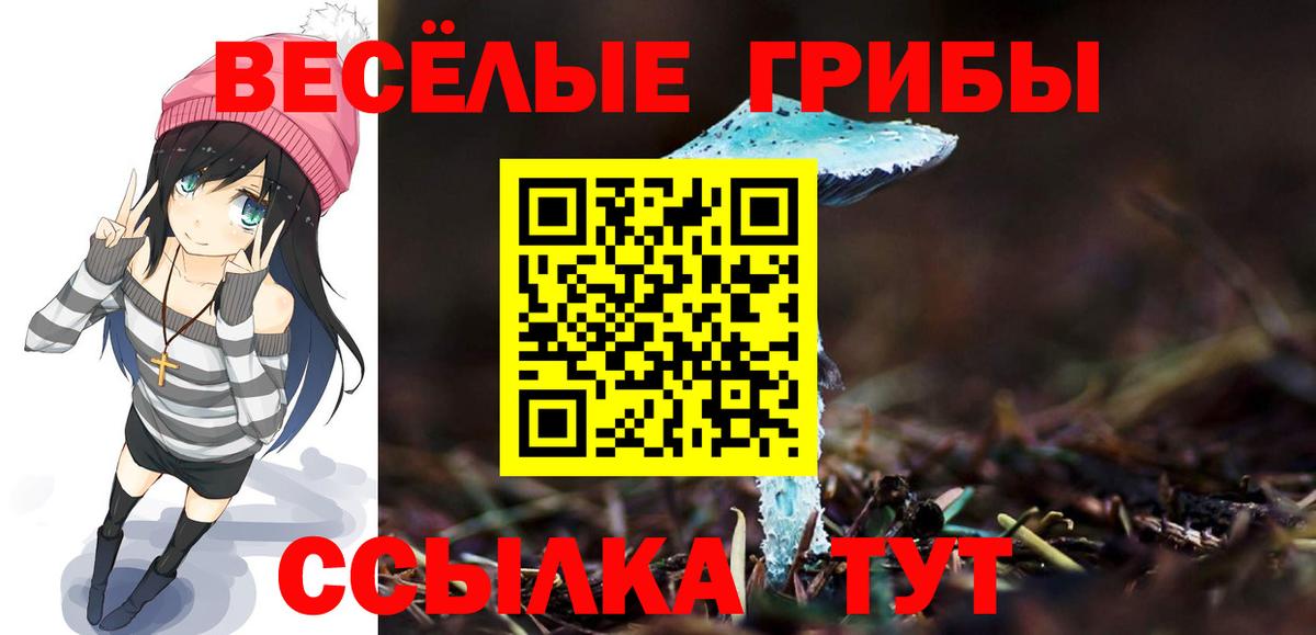 Псилоцибиновые грибы GOLDEN TEACHER  Вход с VPN  Псилоцибиновые грибы мицелий  Муравленко 
